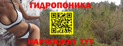 прущие грибы Можга