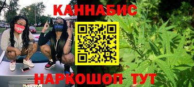 прущие грибы Можга