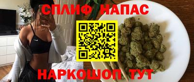 прущие грибы Можга