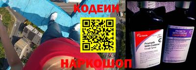 прущие грибы Можга