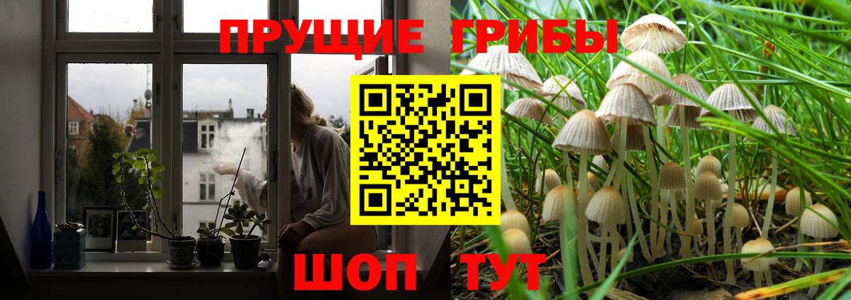 Галлюциногенные грибы Psilocybine cubensis  Псилоцибиновые грибы ЛСД  Вход с VPN  Черкесск 