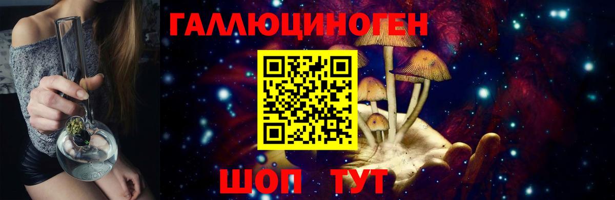 Псилоцибиновые грибы Psilocybine cubensis Черкесск
